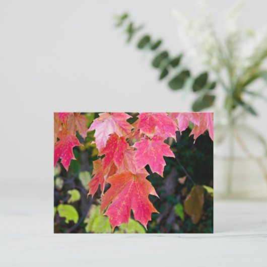 Autumn Leaves Briefkaart (Staand voorkant)