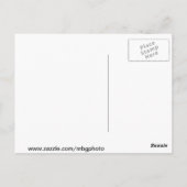 Autumn Leaves Briefkaart (Achterkant)