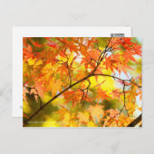 Autumn Leaves [Briefkaart] Briefkaart (Voorkant / Achterkant)