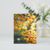 Autumn Leaves [Briefkaart] Briefkaart (Staand voorkant)