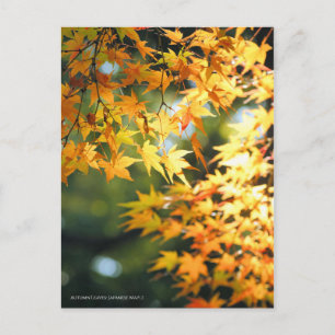 Autumn Leaves [Briefkaart] Briefkaart
