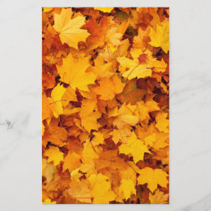 Autumn Leaves Briefpapier