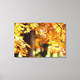 Autumn Leaves Canvas Afdruk