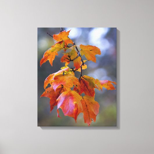 Autumn Leaves Canvas Afdruk (Voorkant)