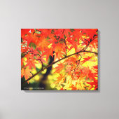 Autumn Leaves [Canvas Print] Canvas Afdruk (Voorkant)