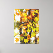 Autumn Leaves [Canvas Print] Canvas Afdruk (Voorkant)