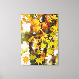 Autumn Leaves [Canvas Print] Canvas Afdruk