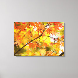 Autumn Leaves [Canvas Print] Canvas Afdruk