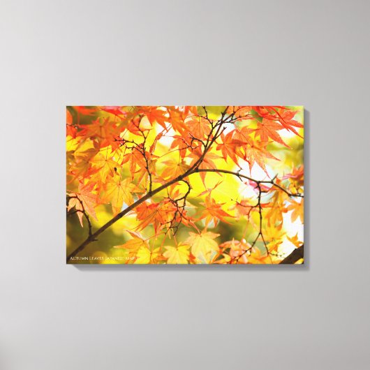 Autumn Leaves [Canvas Print] Canvas Afdruk (Voorkant)
