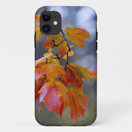 Autumn Leaves Case-Mate iPhone Case (Achterkant)