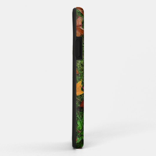 Autumn Leaves Case-Mate iPhone Case (Achterkant/rechts)