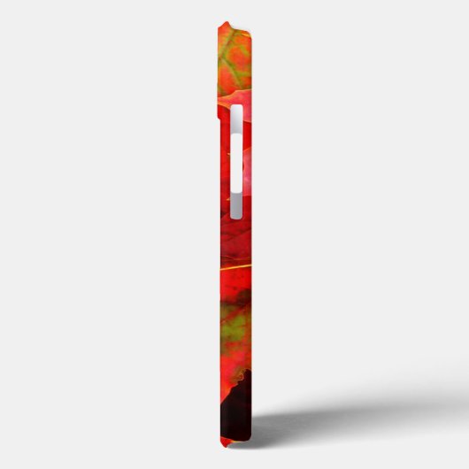 Autumn Leaves Case-Mate iPhone Case (Achterkant / Links)