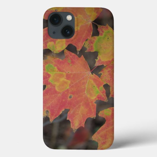 Autumn Leaves Case-Mate iPhone Case (Achterkant)