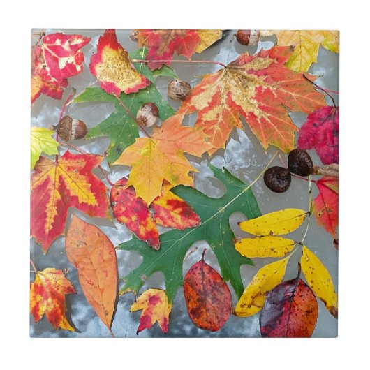 Autumn Leaves Ceramic Coster Tegel Tegeltje (Voorkant)