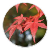 Autumn Leaves Ceramic Knob Keramische Knop (Voorkant)