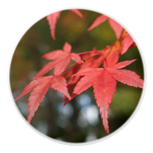 Autumn Leaves Ceramic Knob Keramische Knop (Voorkant)