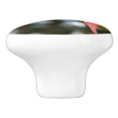 Autumn Leaves Ceramic Knob Keramische Knop (Zijkant)