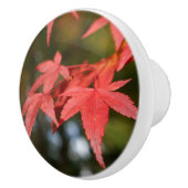 Autumn Leaves Ceramic Knob Keramische Knop (Rechts)