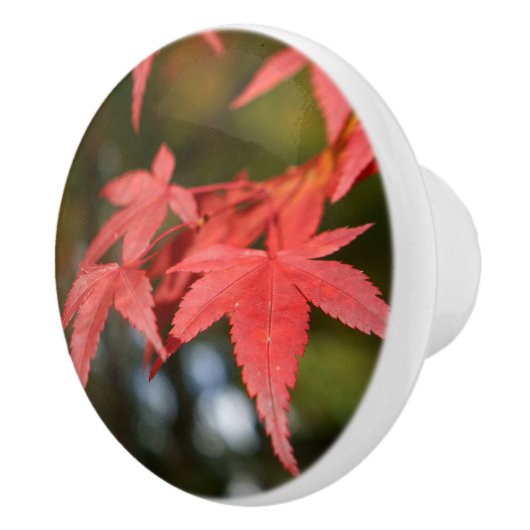 Autumn Leaves Ceramic Knob Keramische Knop (Rechts)