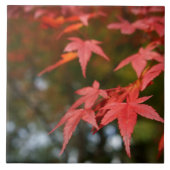Autumn Leaves Ceramic Tile Tegeltje (Voorkant)