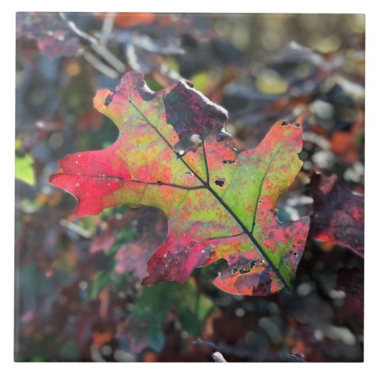 Autumn Leaves Ceramic Tile Tegeltje (Voorkant)