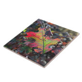 Autumn Leaves Ceramic Tile Tegeltje (Zijkant)