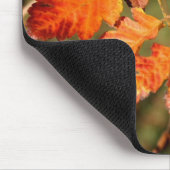 Autumn Leaves Colors Mousepad Muismat (Hoek)