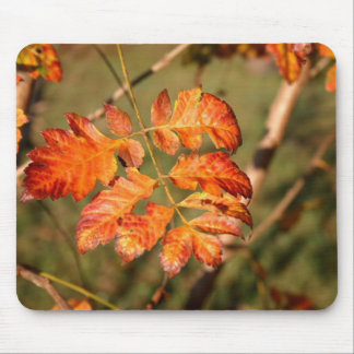 Autumn Leaves Colors Mousepad Muismat