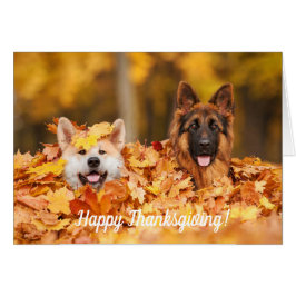 Autumn Leaves & Dogs | Thanksgiving Kaarten