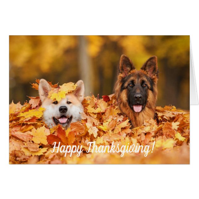 Autumn Leaves & Dogs | Thanksgiving Kaarten (Voorkant Horizontaal)