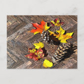 Autumn Leaves en Pinecones Briefkaart (Voorkant)