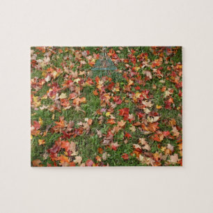Autumn Leaves en Rake Legpuzzel