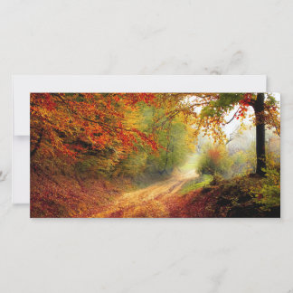 Autumn Leaves en Trees die Dirt Road bedekken