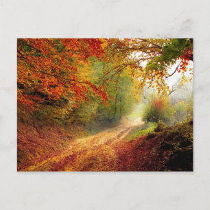 Autumn Leaves en Trees die Dirt Road bedekken Briefkaart