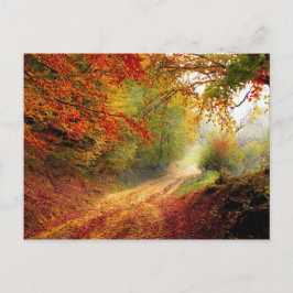 Autumn Leaves en Trees die Dirt Road bedekken Briefkaart