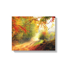 Autumn Leaves en Trees die Dirt Road bedekken