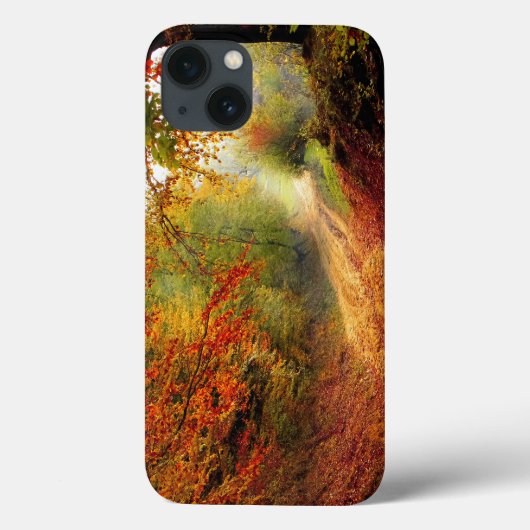 Autumn Leaves en Trees die Dirt Road bedekken Case-Mate iPhone Case (Achterkant)