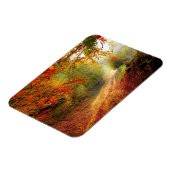 Autumn Leaves en Trees die Dirt Road bedekken Magneet (Linkerzijde)