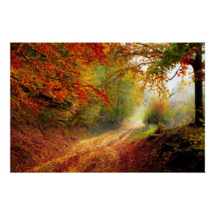 Autumn Leaves en Trees die Dirt Road bedekken Perfect Poster