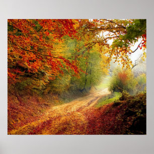 Autumn Leaves en Trees die Dirt Road bedekken Poster