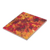 Autumn Leaves Fall Color Red Ceramic Tile Tegeltje (Zijkant)