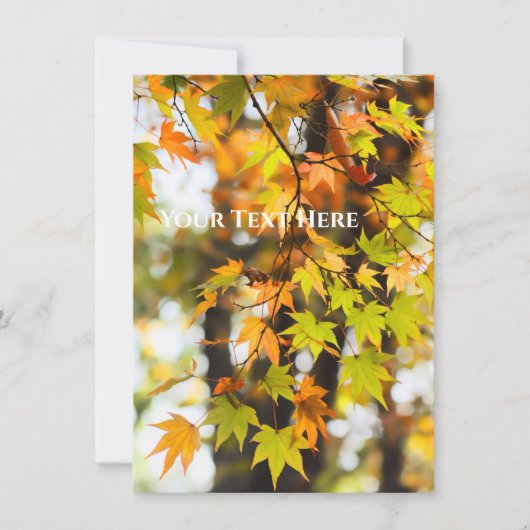 Autumn Leaves [Flat Card] Aankondiging (Voorkant)