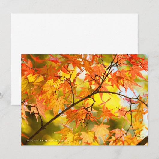 Autumn Leaves [Flat Card] Aankondiging (Voorkant / Achterkant)