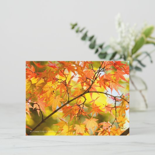 Autumn Leaves [Flat Card] Aankondiging (Staand voorkant)