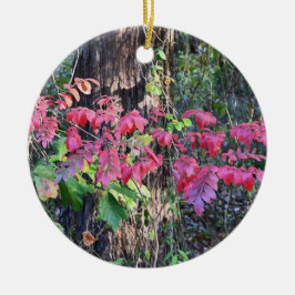 Autumn Leaves Foto Ornament