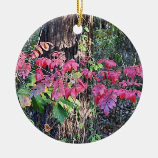 Autumn Leaves Foto Ornament (Voorkant)