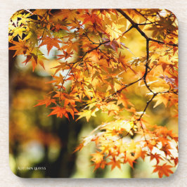 Autumn Leaves [Hard plastic Onderzetter] Bier Onderzetter