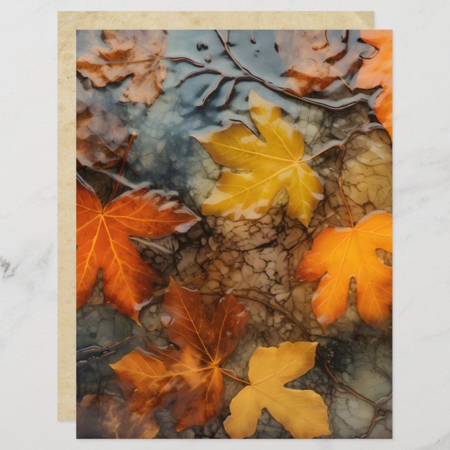 Autumn Leaves in Rain Scrapbook Paper (Voorkant / Achterkant)