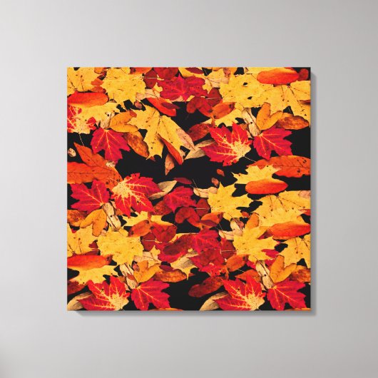 Autumn Leaves in Yellow Red Oranje Brown Canvas Afdruk (Voorkant)
