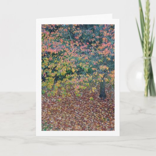 Autumn Leaves Kaart (Voorkant)